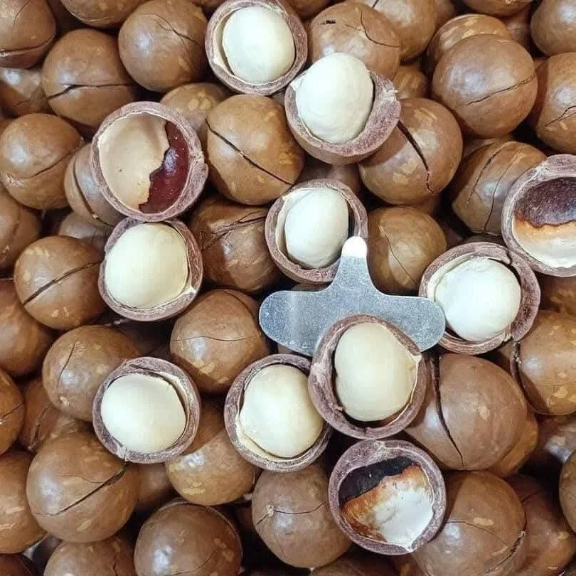 Hạt Macca Gia Hưng - 500g - Ảnh 4