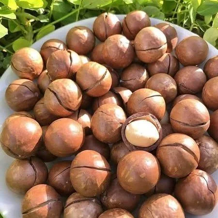 Hạt Macca Gia Hưng - 500g - Ảnh 5