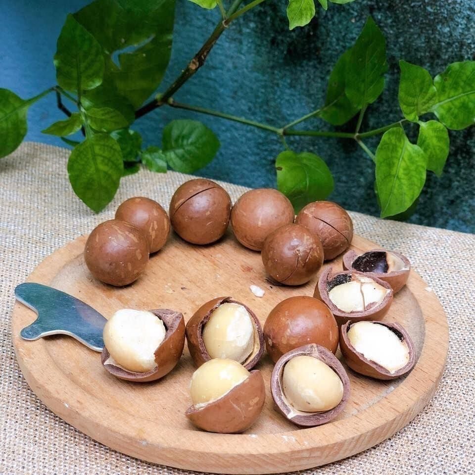 Hạt Macca Gia Hưng - 500g - Ảnh 3