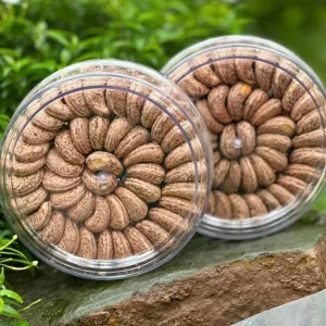 Alternative view of Hạt Điều Xếp Rang Muối Healthy Food – 500g