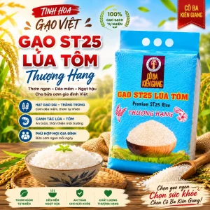 Alternative view of Gạo ST25 Lúa Tôm Thượng Hạng Hút Chân Không - 5kg